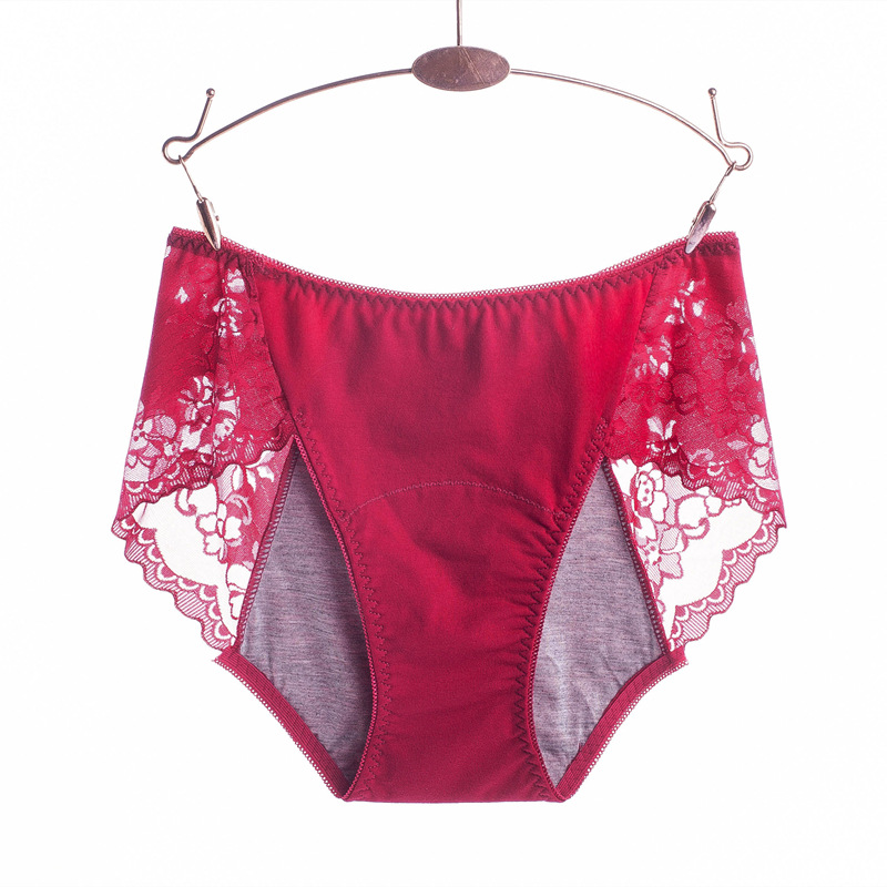 3XL Large Size Sexy Lace Absor - Period Panty Absorbent 리뷰 및 가격