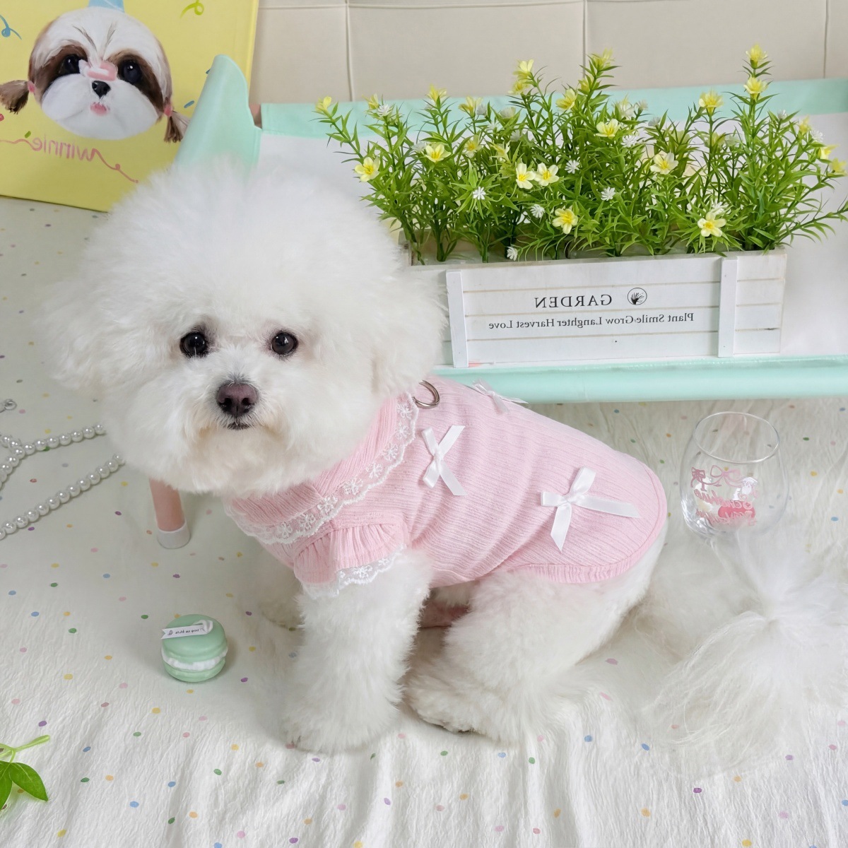 Pet Spring Lace Bow Vest Can P - Lace Teddy Lingerie 리뷰 및 가격