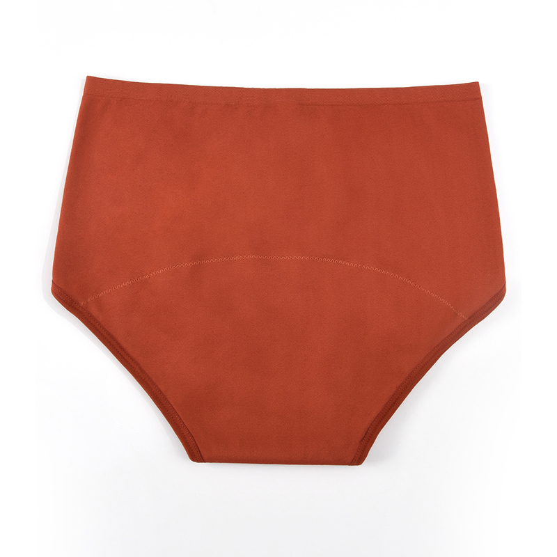 Women’s Seamless Period Pantie - Period Panty Absorbent 리뷰 및 가격