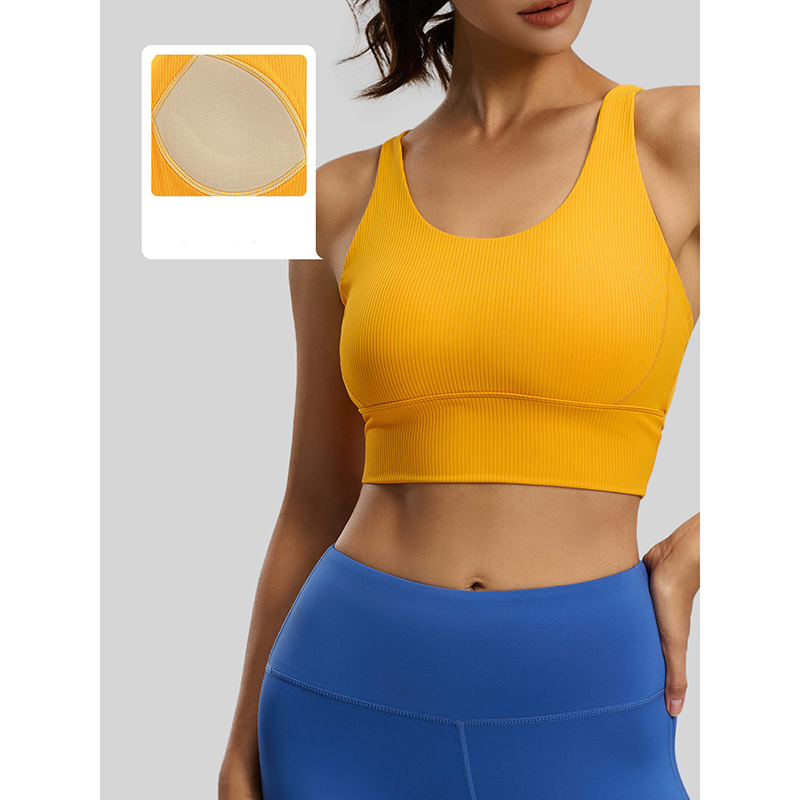 2026 New Women Ribbed High Imp - Sports Bra High Impact 리뷰 및 가격