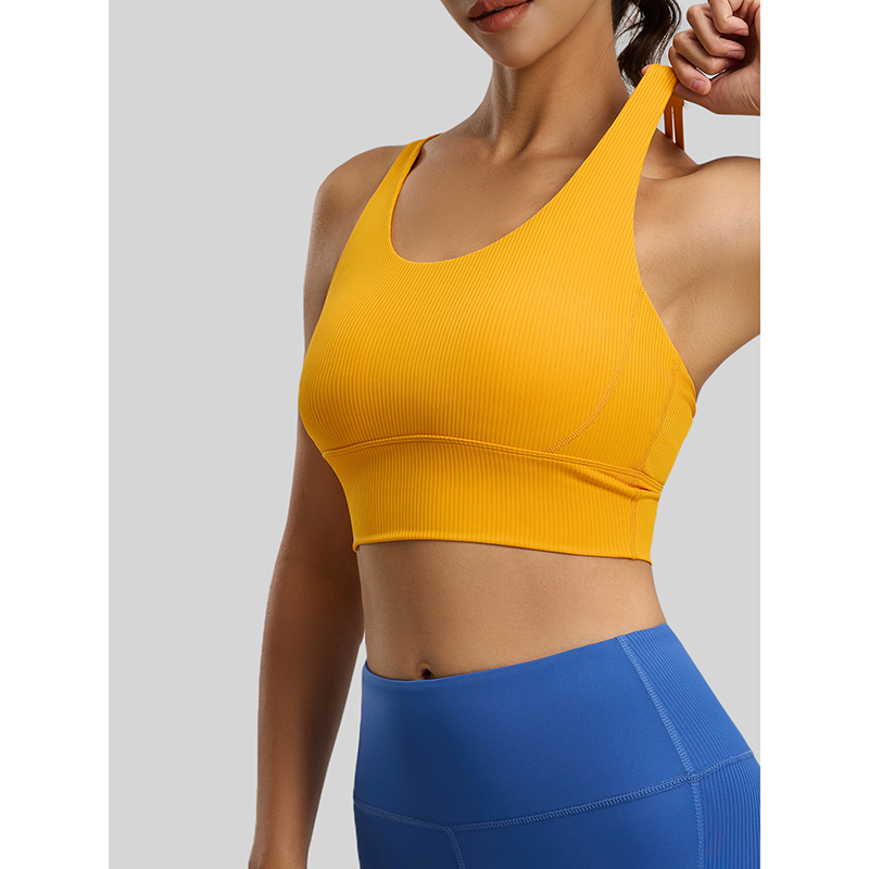 2026 New Women Ribbed High Imp - Sports Bra High Impact 리뷰 및 가격